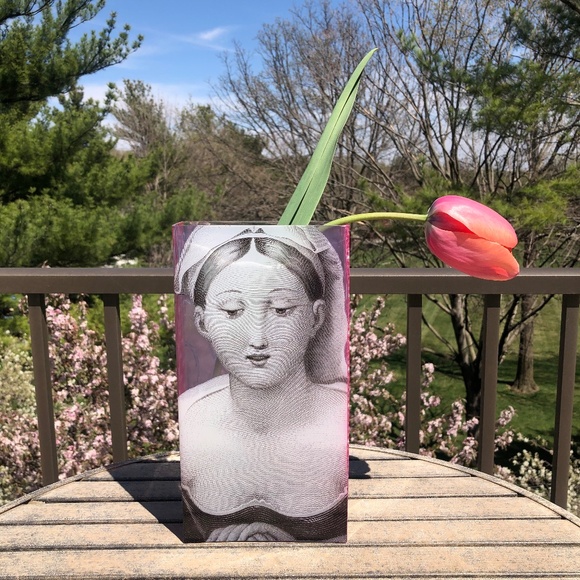 Fringe Studio Rare Glass Vessel NEW! Beautiful Translucent Images on All 4 Sides - Picture 1 of 16